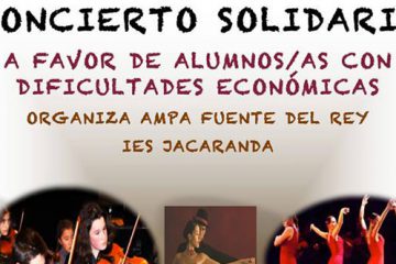 concierto solidario