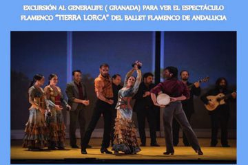 excursion generalife flamenco