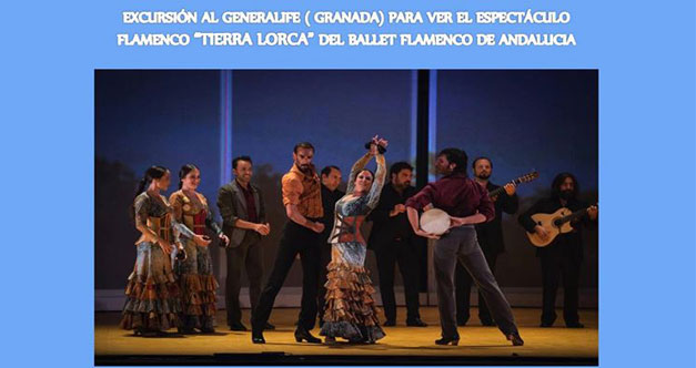 excursion generalife flamenco